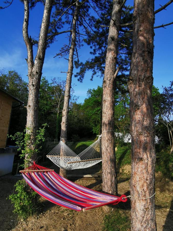 Active Chillax Oasis Apartments Ankaran Eksteriør billede