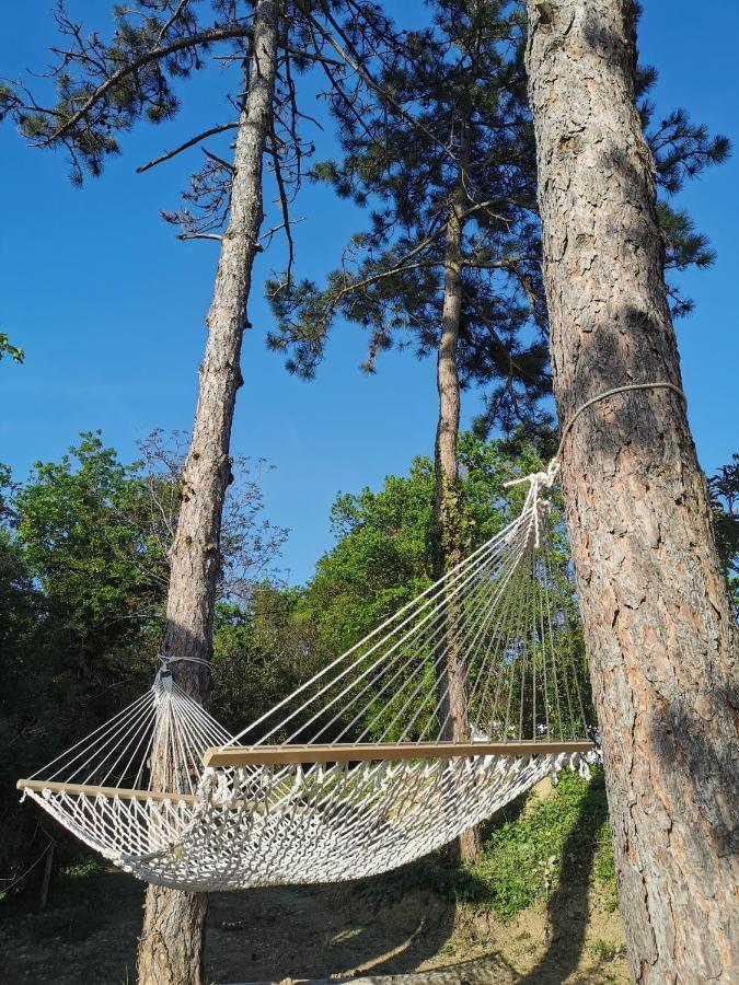 Active Chillax Oasis Apartments Ankaran Eksteriør billede